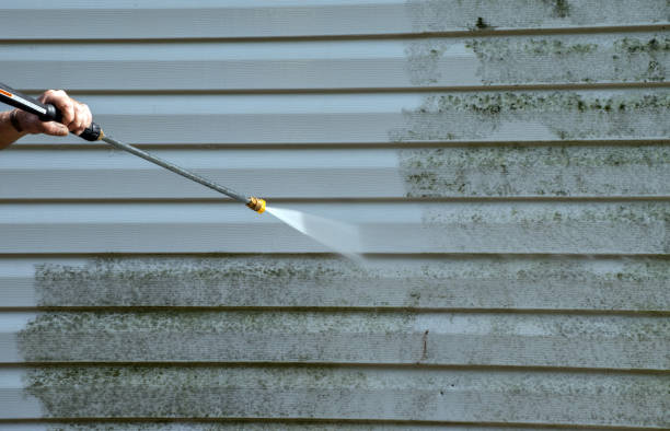 Best Affordable Power Washing  in Montgomery, IN